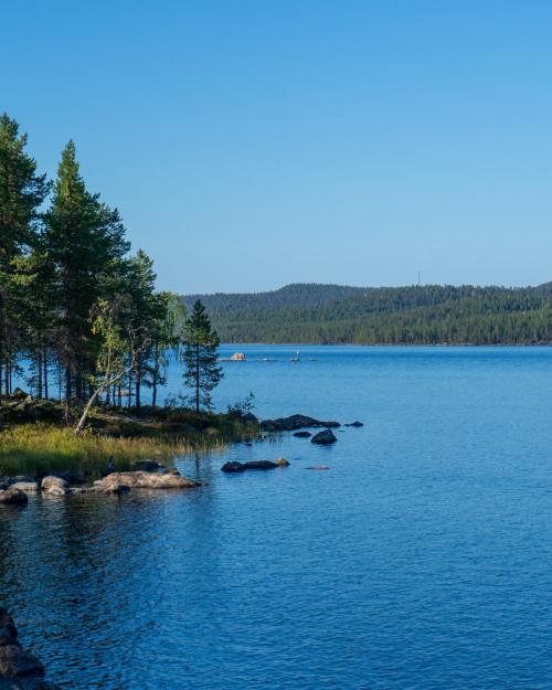Tranquil scene of a calm lake surrounded by lush pine forests in Norway, ideal for nature lovers.