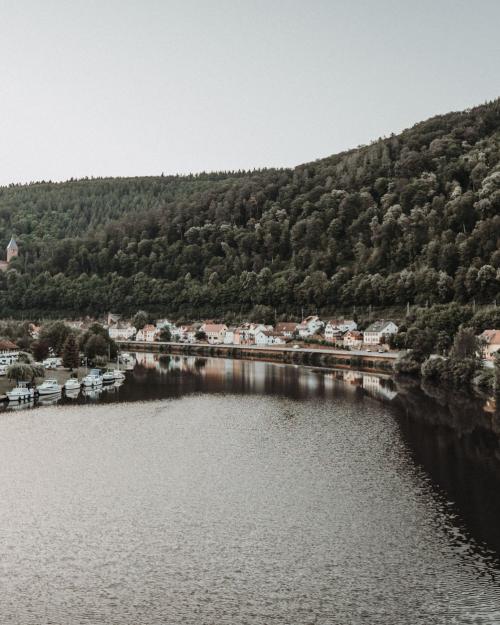 A picturesque view of a riverside town by a serene lake surrounded by verdant forests.