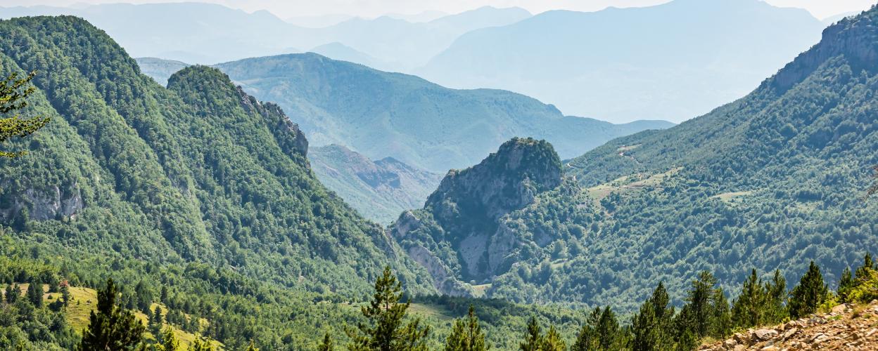 Lure Albania 