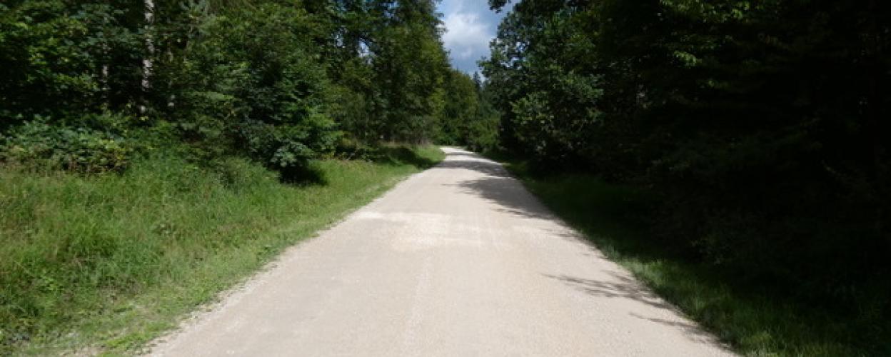 Naturpark Hirschwald I