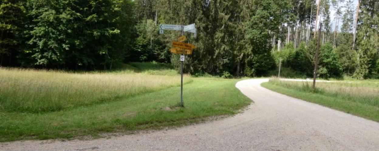 Naturpark Hirschwald III