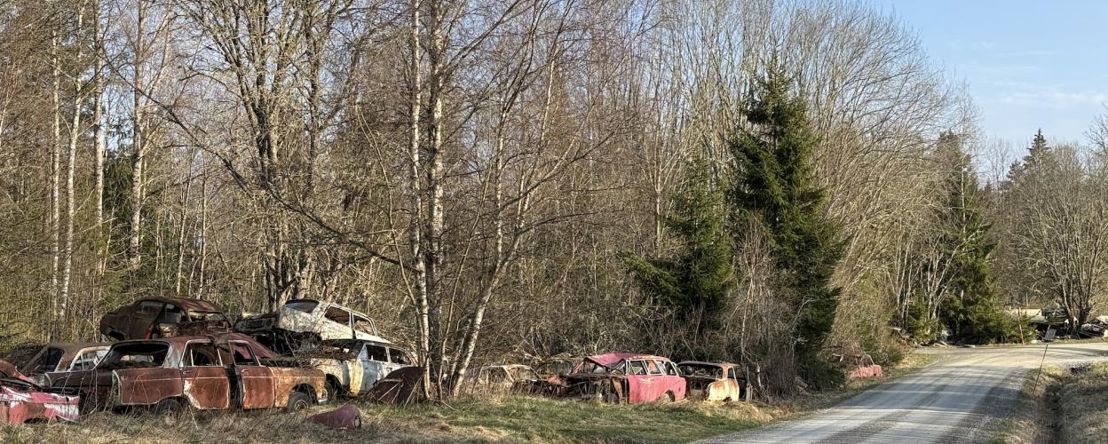 Schotterweg, an dem links Schrottautos im Wald liegen