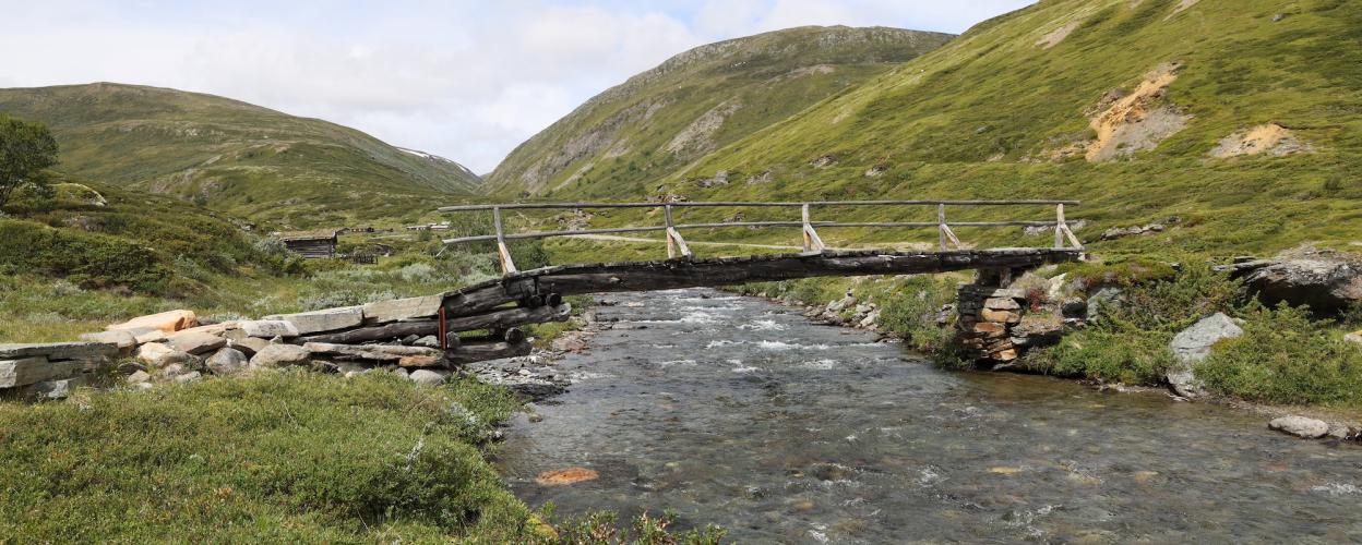 Norwegen Grimsdalsvegen