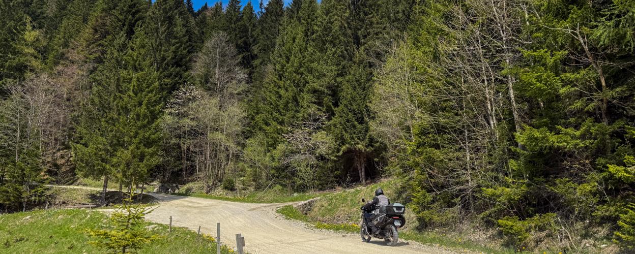 Slowenien Auf dem Mittelteil der Solčavska Panoramastraße