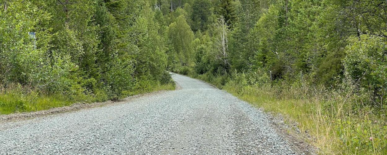 Norwegen Zum Ausetvatnet und Bulandsvatnet