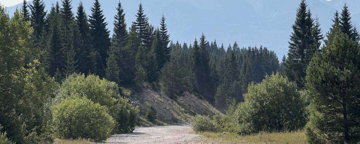 Offroad Bosnien Necropolis Dugo polje