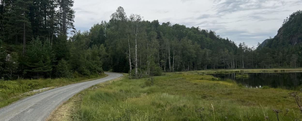 Offroad Norwegen Eigåsvegen