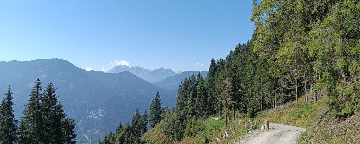 Leppner Alm