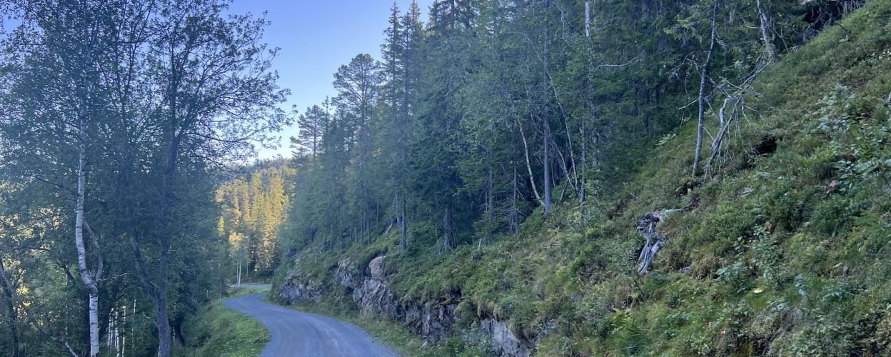 Offroad Norwegen Ravnejuvvegen 