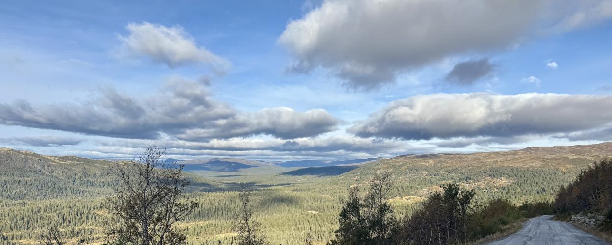 Offroad Norwegen Vegglifjellveien