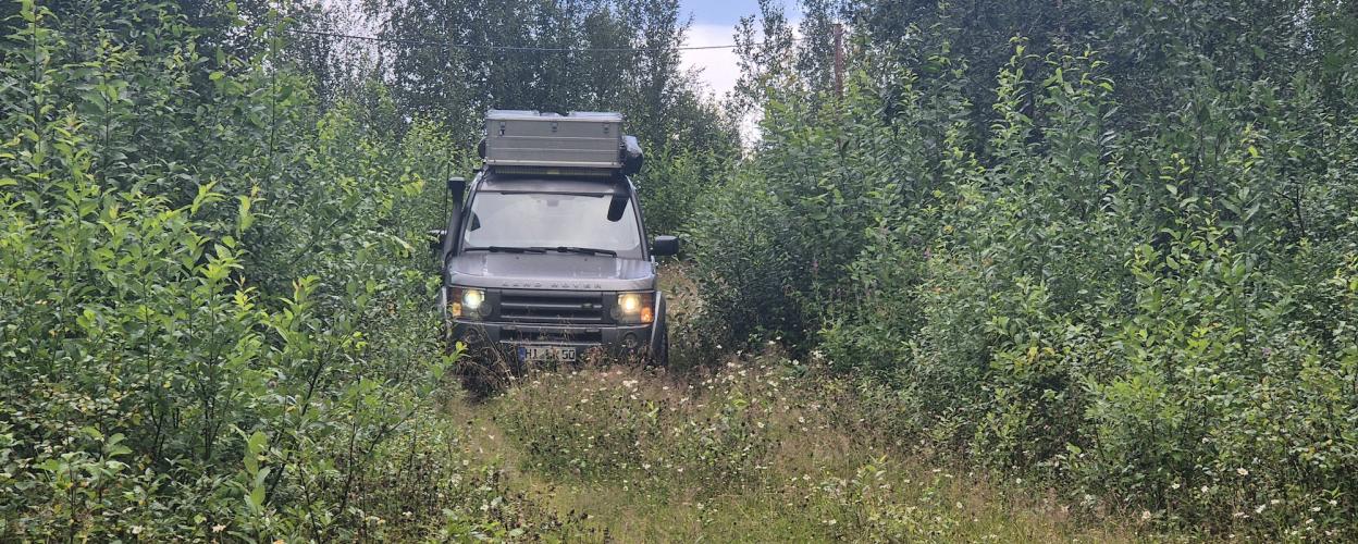Offroad Schweden Der vergessene Waldweg