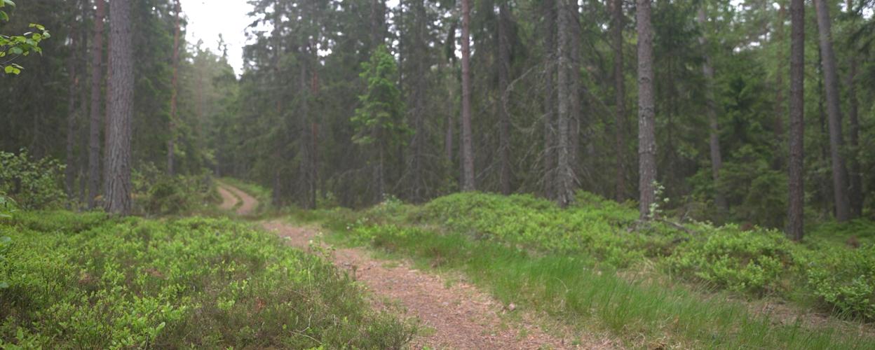 Offroad Schweden Hörnebo Schiefergrube