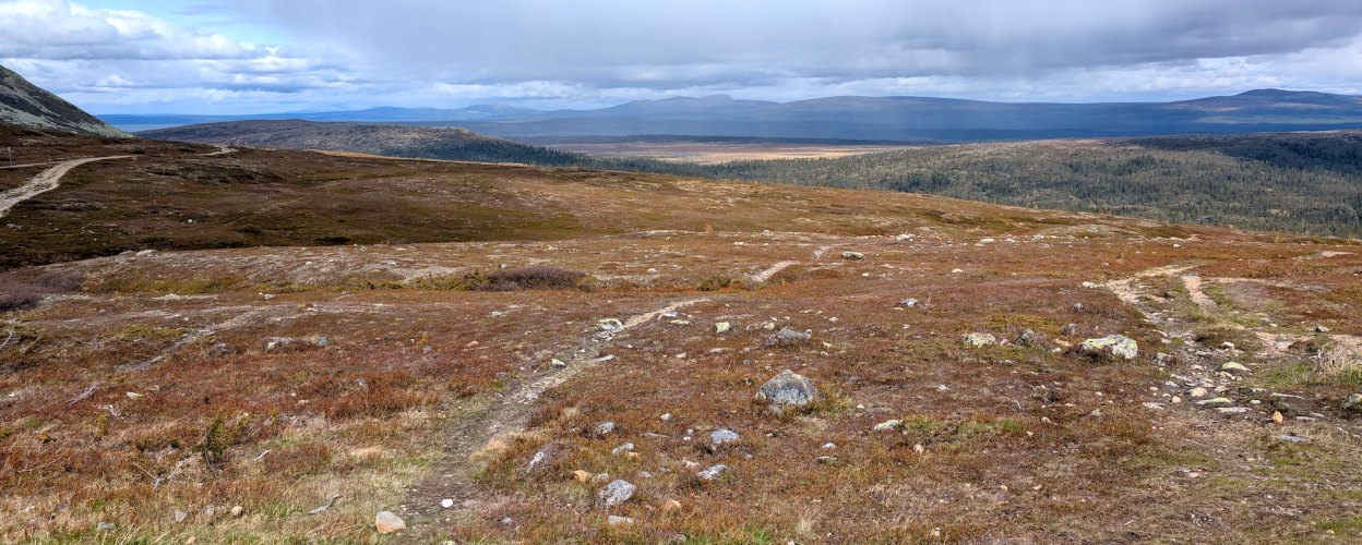 Offroad Schweden Vom Nipfjället zum Fjätfallen
