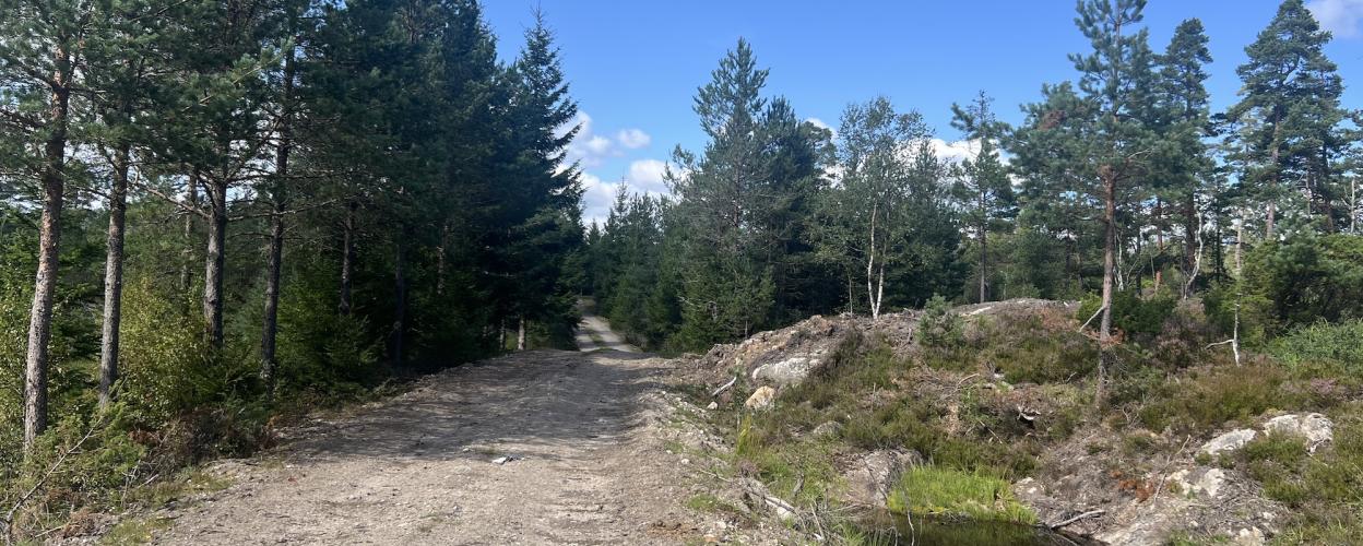 Offroad Norwegen Von der RV 9 zum Sandlandsvatnet