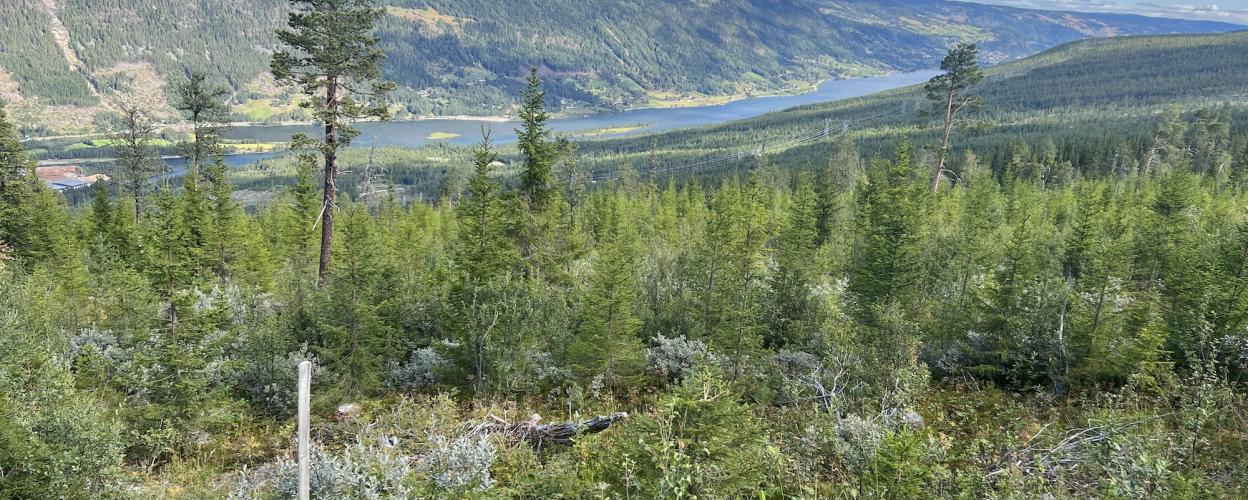 Offroad Norwegen Sangefjellvegen
