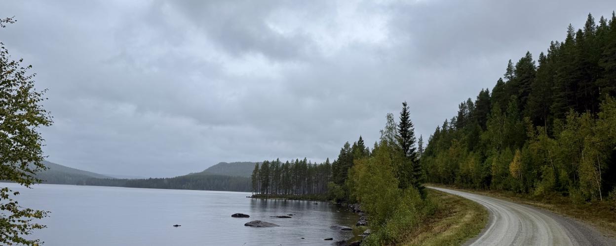 Offroad Schweden Zum Strömhöjdens Naturreservat