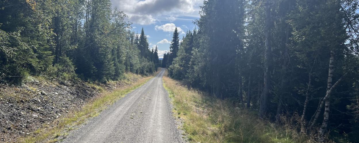 Offroad Norwegen Dempavegen