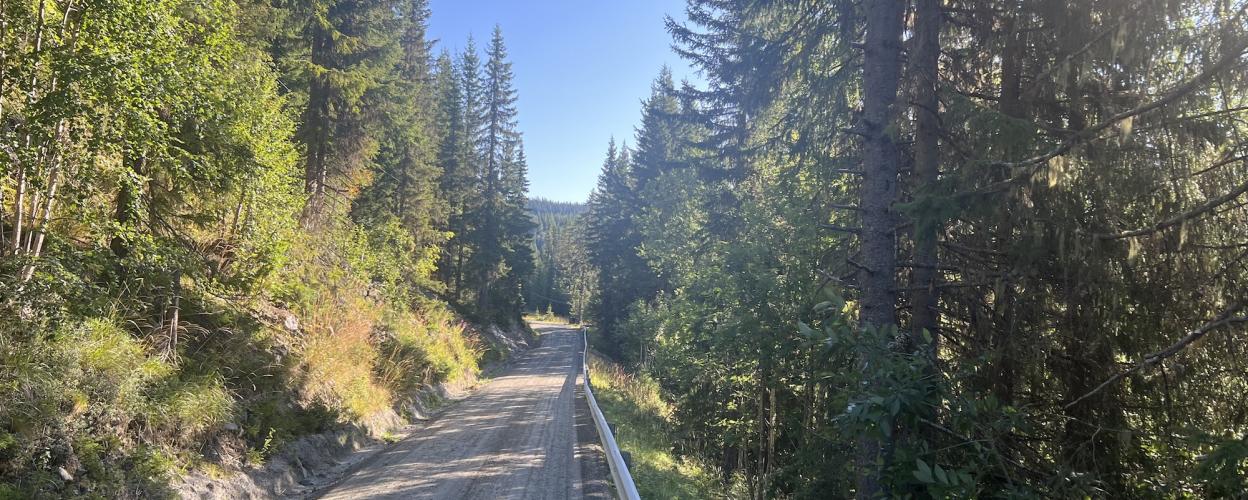 Offroad Norwegen Leirskogvegen