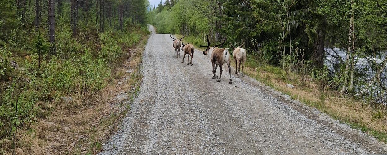 Offroad Schweden Unsichtbare Seen