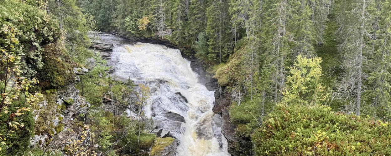 Offroad SchwedenAnsättåns Canyon
