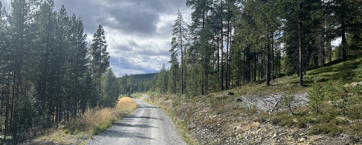 Offroad Norwegen Nysetervegen - Biri