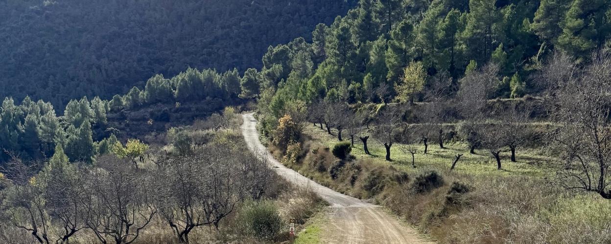 Offroad Spanien Collado Miguel