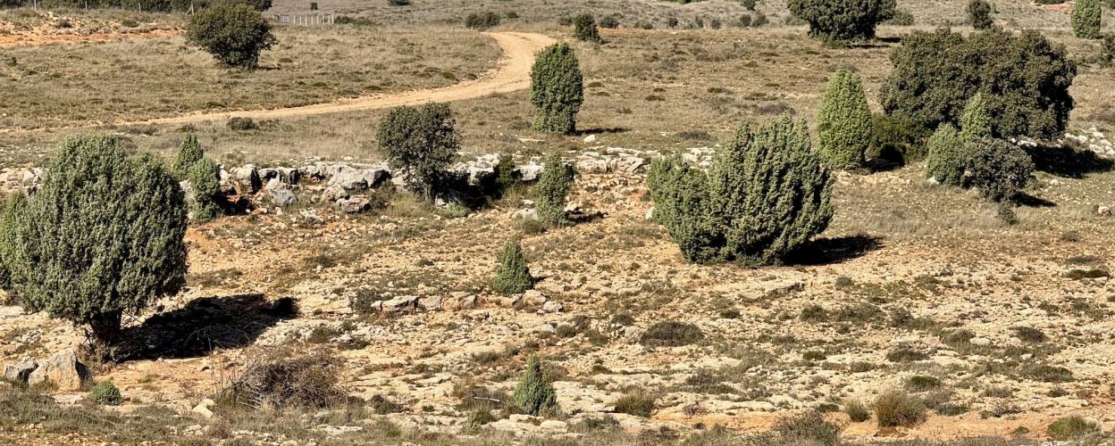 Offroad Spanien Piste nach Mas Blanco