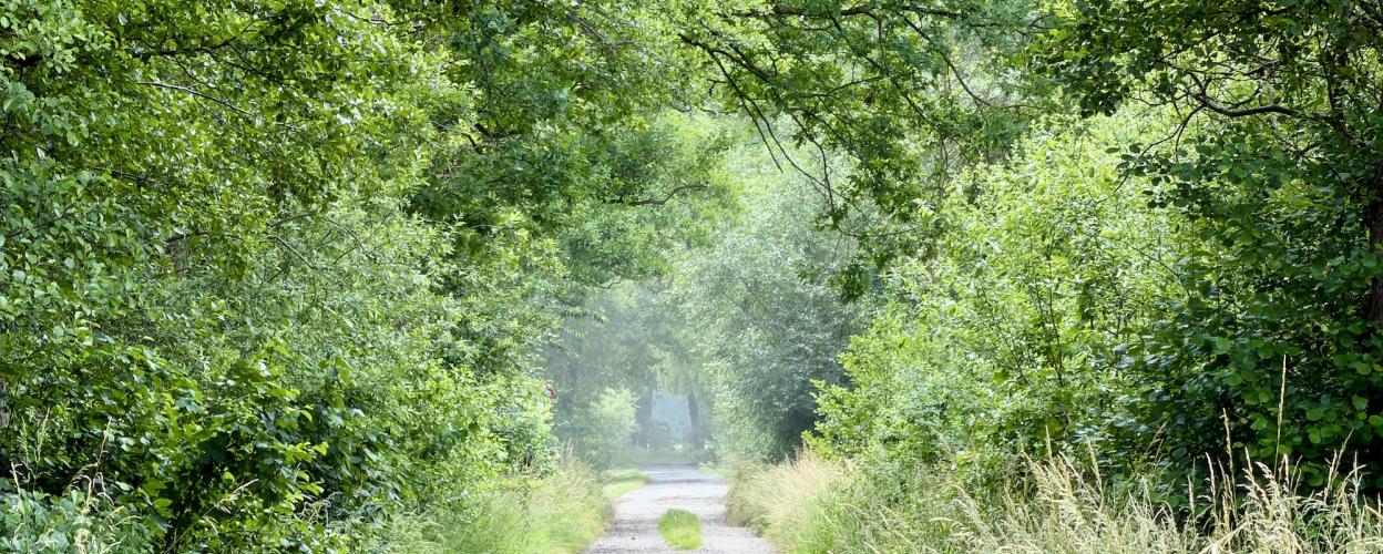 Offroad Deutschland Am Osterbruchkanal