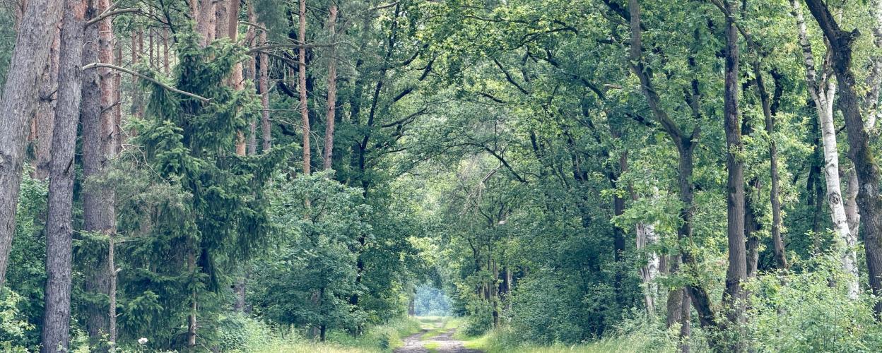 Offroad Deutschland Am Wienhauser Mühlenkanal