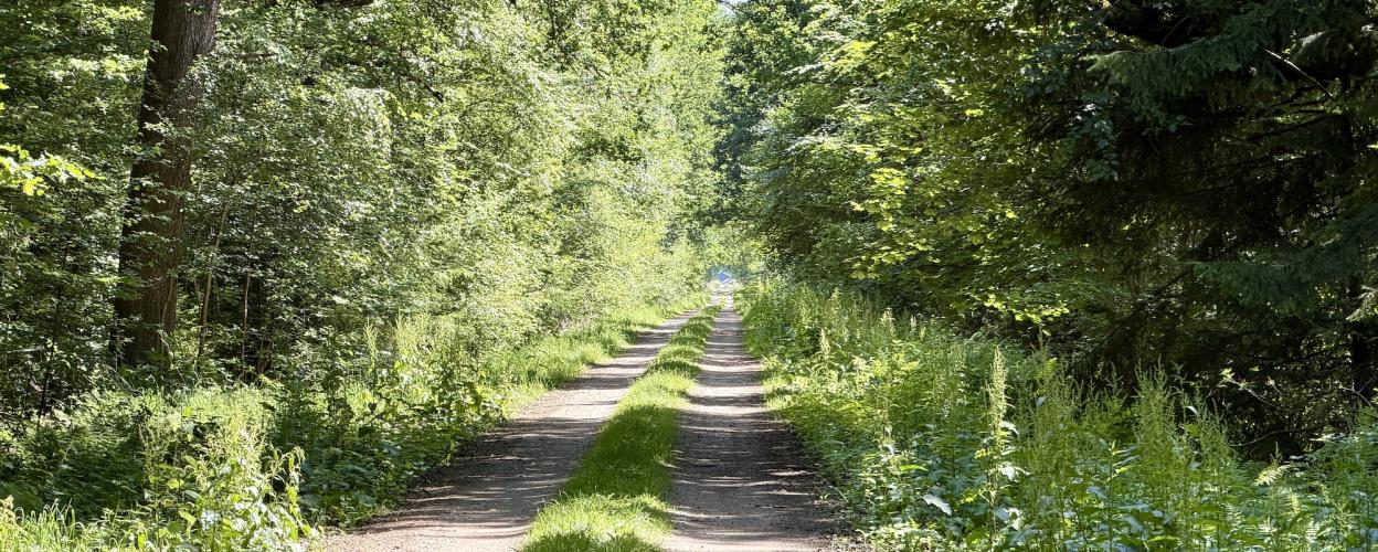 Offroad Deutschland Postmoor-Piste
