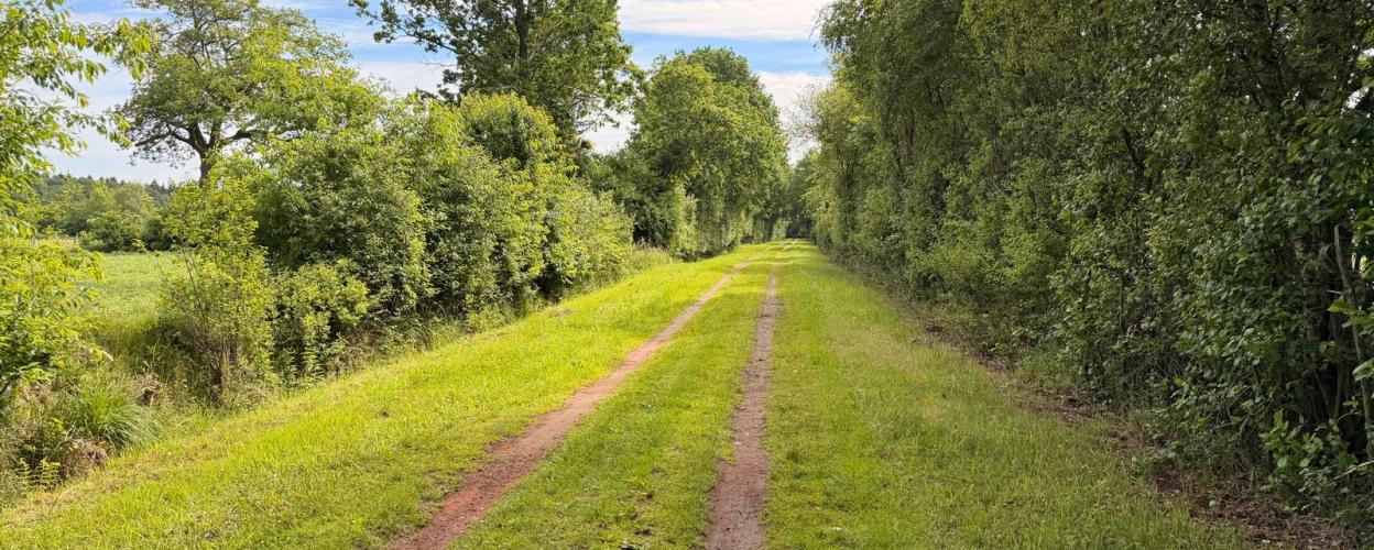 Offroad Deutschland Rechts und links der Stör
