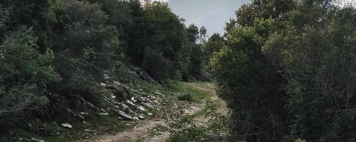 Offroad Grichenland Agia Paraskevi Piste