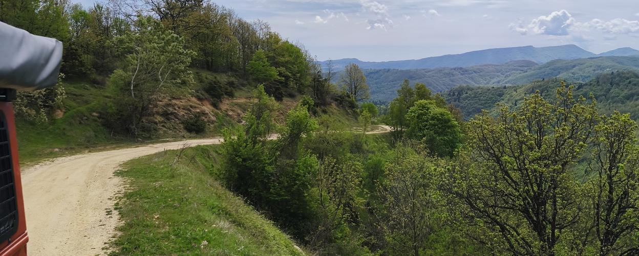 Offroad Griechenland Durch die Wälder nach Chionato