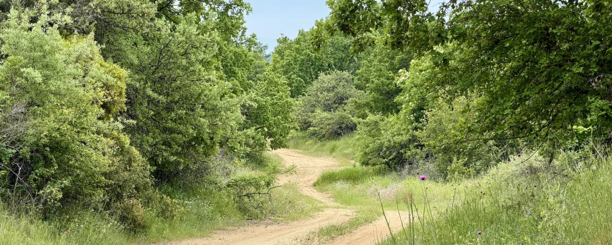 Offroad Griechenland Von Dorkada nach Nikoklia