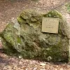 Durch den Lindenhardter Forst und Rotmainquelle