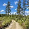 Offroad Norwegen Zu den Flisa Stromschnellen