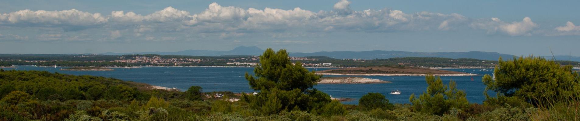 A breathtaking view of a coastal landscape with lush greenery and clear blue waters under a blue sky.