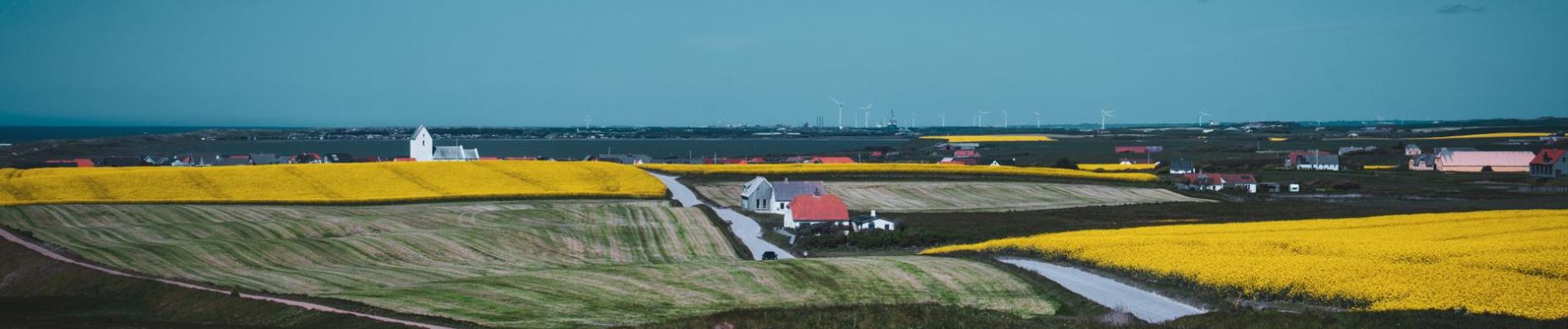 Beautiful Danish landscape with canola fields, church, and coastline in the distance.