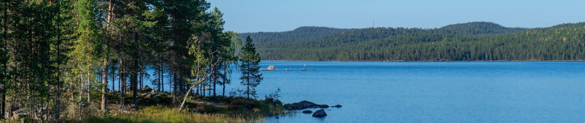 Tranquil scene of a calm lake surrounded by lush pine forests in Norway, ideal for nature lovers.