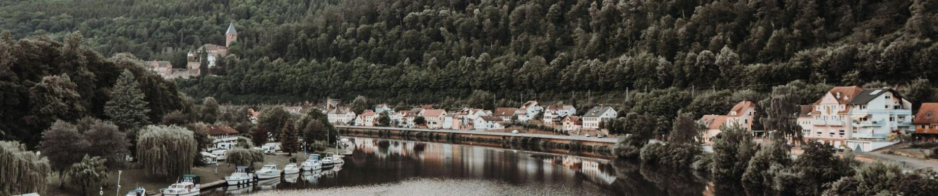 A picturesque view of a riverside town by a serene lake surrounded by verdant forests.