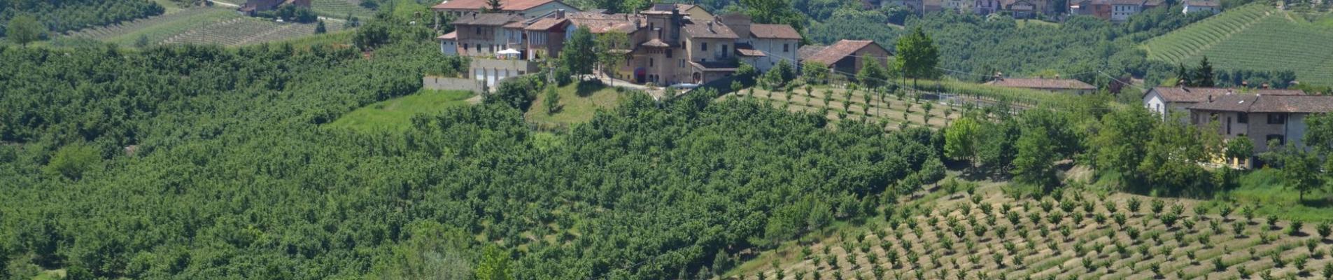 Picturesque landscape of vineyards and village in Belvedere Langhe, Piemonte, Italy.