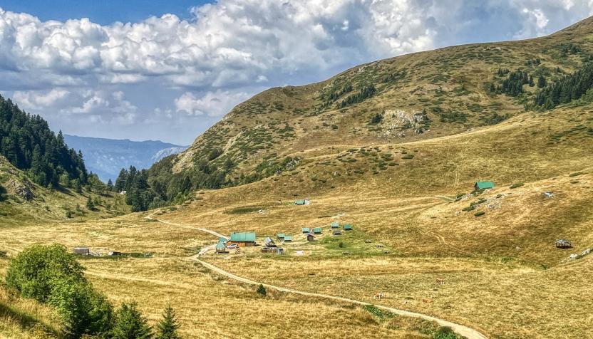 Offroad Montenegro Biogradska Gora Nationalpark