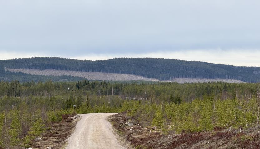 Mussjön und Tollsjön