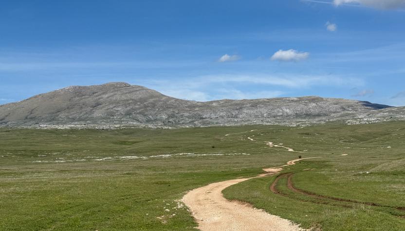 Bosnien Die Wildpferde der Krug planina