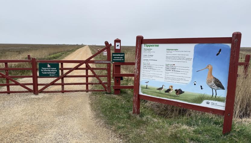 Offroad Dänemark Tipperne