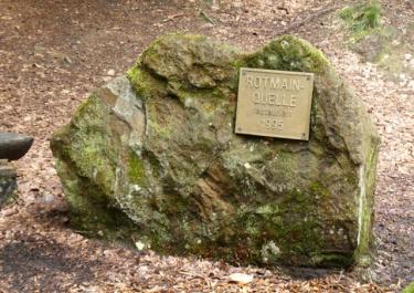 Durch den Lindenhardter Forst und Rotmainquelle