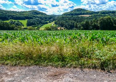Durch die fränkischen Schweiz