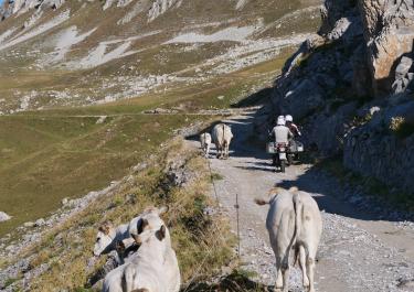 Maira-Stura-Kammstraße