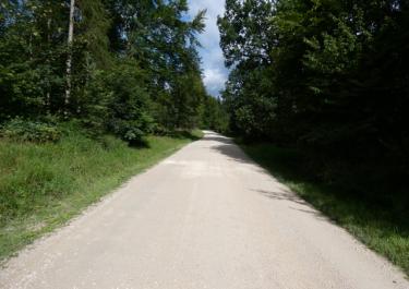 Naturpark Hirschwald I
