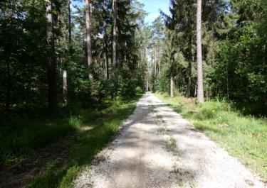 Naturpark Hirschwald II